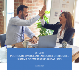 Enrione, A, Bosch, M.J., Riumallo, M.P. & Berner, C. (2021) Politica de Diversidad en los Directorios del Sistema de Empresas Públicas (SEP)
