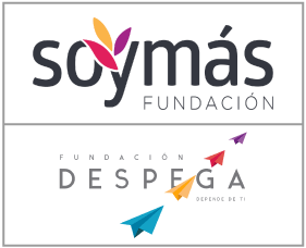 Centro para el Desarrollo de Iniciativas Sociales